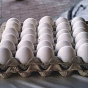 r(nng)I(y)a(chn)ƷbS